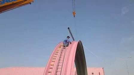 Petit pain froid de construction de toit de tôle de panneau de toit incurvé formant la machine